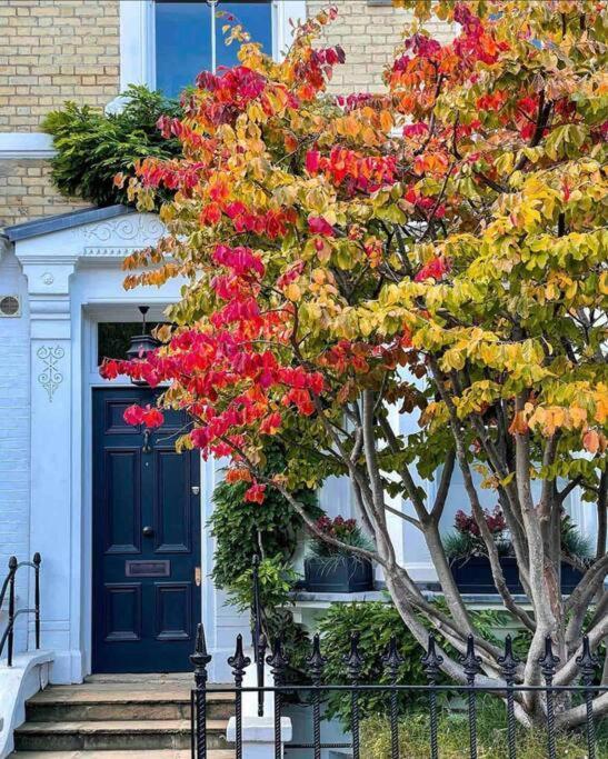 Chelsea Posh Apartment London Exteriör bild
